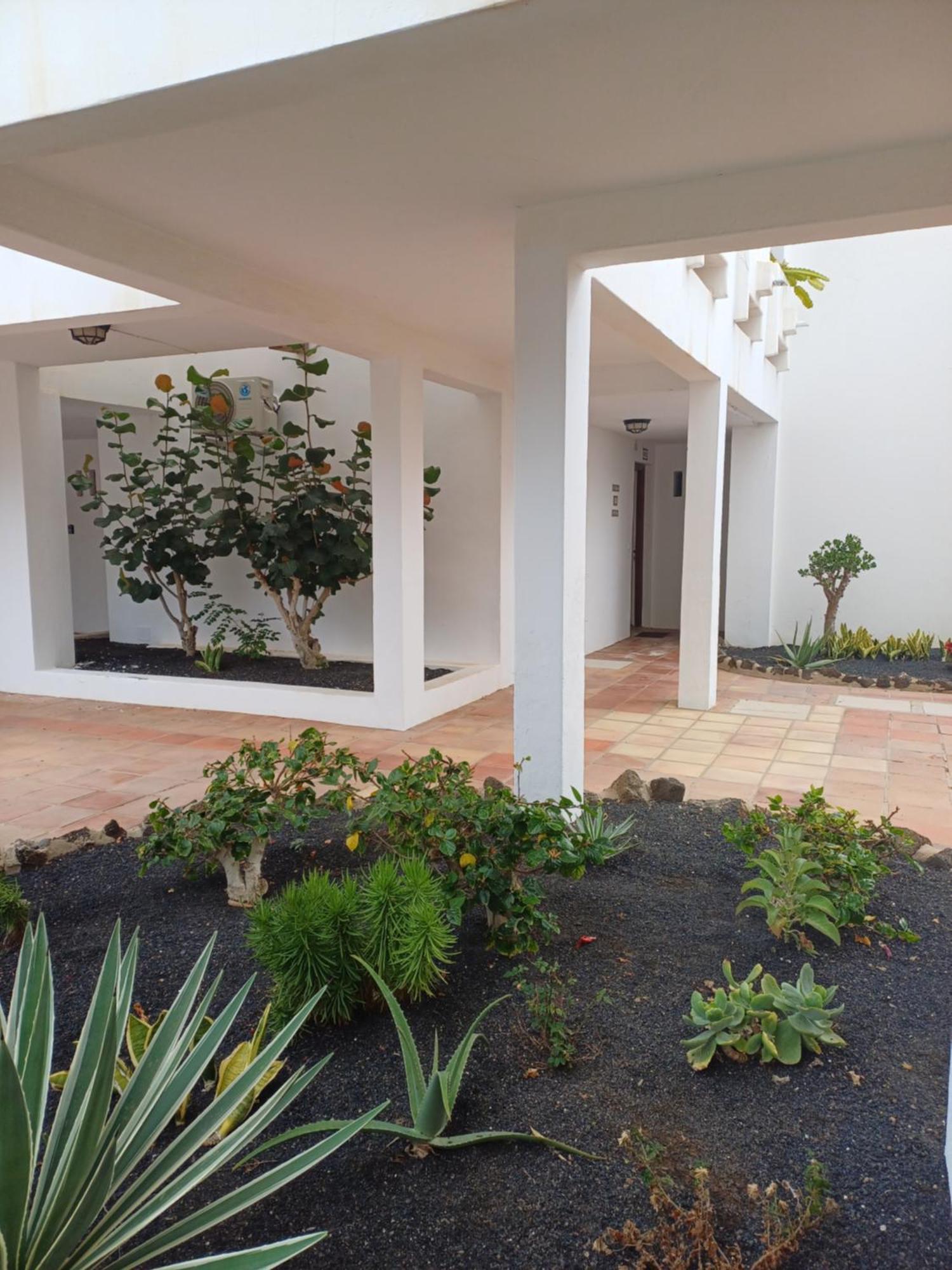 Happy Heart Los Molinos - 2 Bedroom 2 Bathroom コスタ・テギセ エクステリア 写真